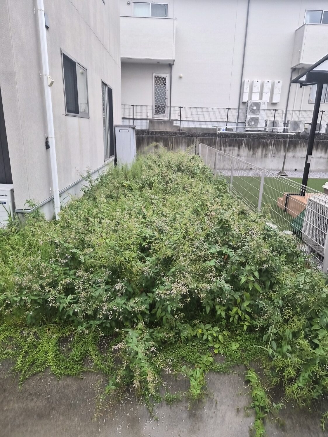 お庭の草刈り　お困りの方
